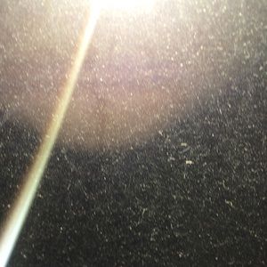 Meet your Posher, Gretchen